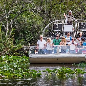 Miami Sightseeing Tour with Scenic Airboat Ride