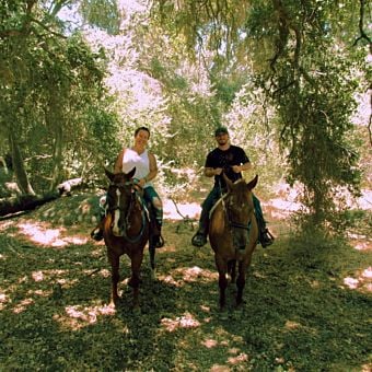 Temecula Horseback Ride with Wine Tasting