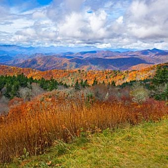 Full-Day Fall Foliage Driving Tour