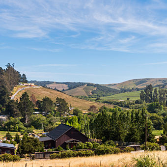 Private Russian River Kayak, Bike & Wine Tour