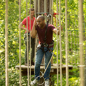 Treetop Adventure with Go Ape