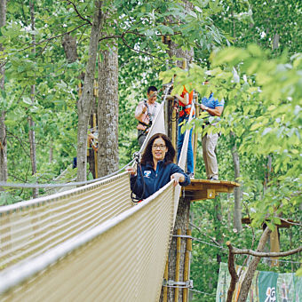 Treetop Adventure with Go Ape