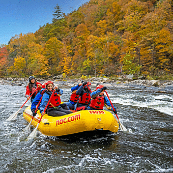 Deluxe Half-Day French Broad River Rafting Trip