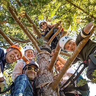 Thrilling Tree Climbing Adventure in Silver Falls State Park