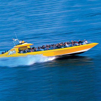 Lakefront Speedboat Tour