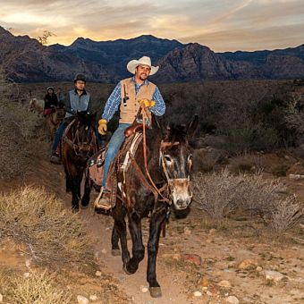 Horseback, Sunset and BBQ