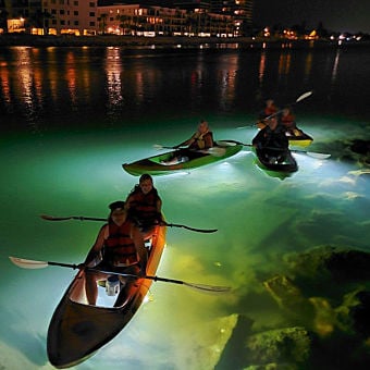 Illuminated Nighttime Glass Bottom Kayak Tour