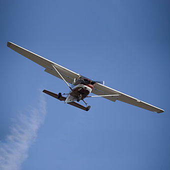 Learn to Fly