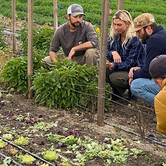 Ultimate Farming Experience at the McGrath Family Farm 