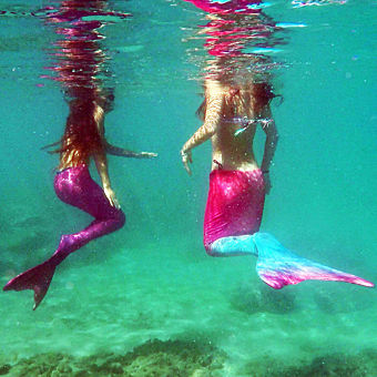 Private Mermaid Snorkel Tour