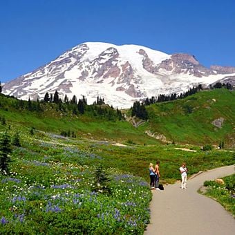 Explore Mount Rainier on Guided Tour