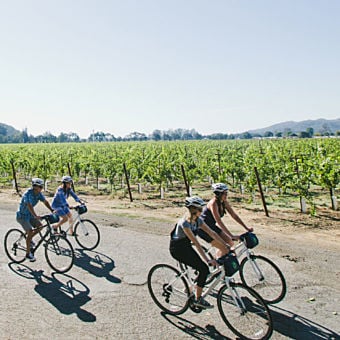 Half-Day Napa Valley Wine and E-Bike Tour