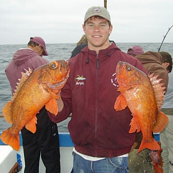 Newport Beach Sportfishing