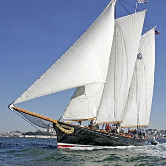 Whale Watching Sailing Experience