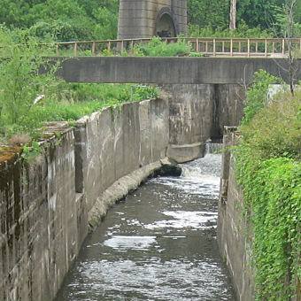 Scenic Cruise Through the Erie Canal