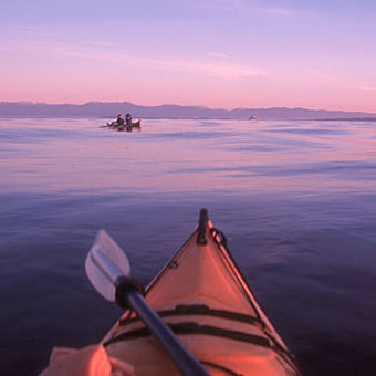 Kayaking the San Juan Islands - Haro Strait Day Tour