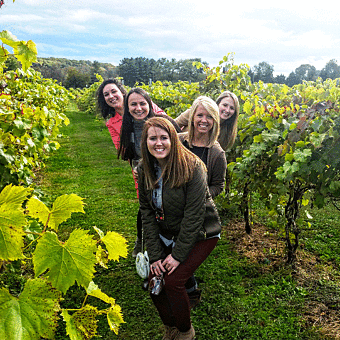 All-Inclusive Patapsco Valley Wine Tour with Lunch for 2