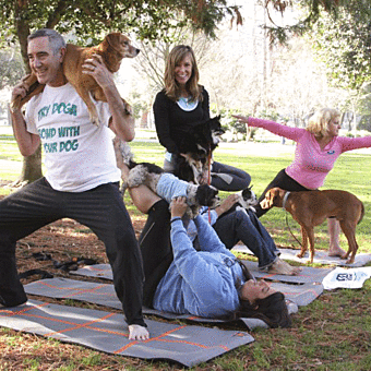 Private Dog Yoga Class Virgin Experience Gifts