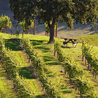 The Rancho Cal Wine Tour