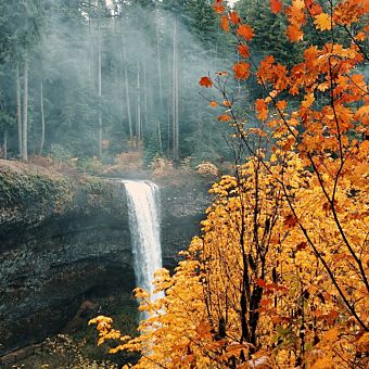 Silver Falls Hike and Wine Tour