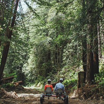 Redwoods Railbike Tour