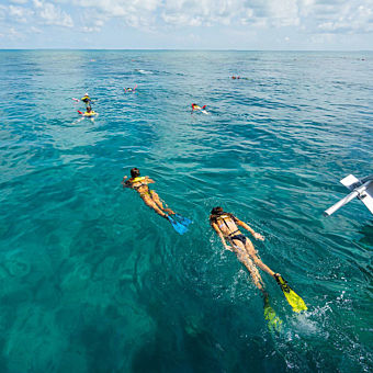 Morning Reef Snorkel with Tropical Fish