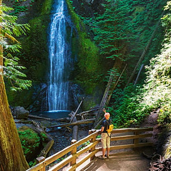 Olympic National Park Adventure from Seattle