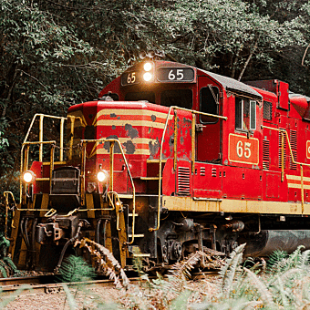 Redwoods Adventure: Scenic Train Ride to the Secluded Glen Blair Bar