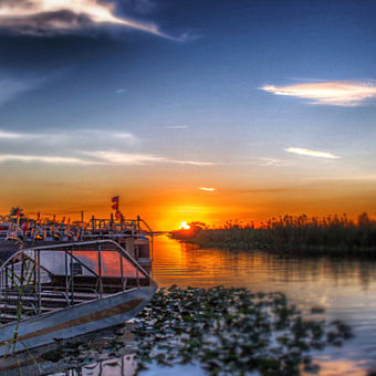 Night Airboat Tours