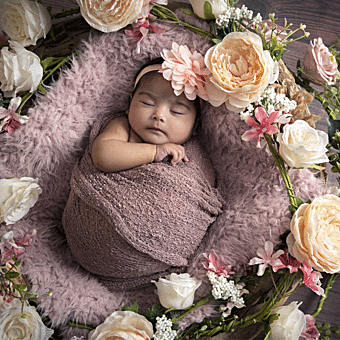 Professional Maternity or Newborn Photoshoot