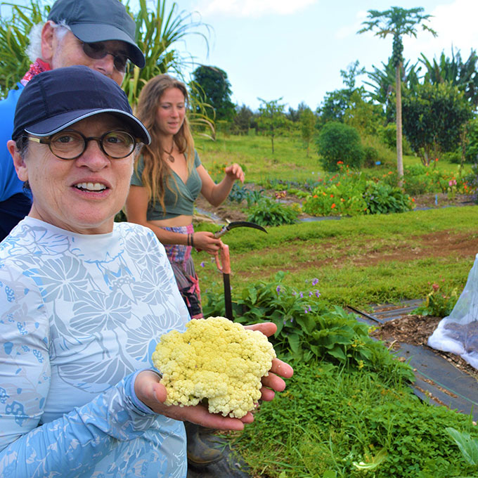 Farm Tour