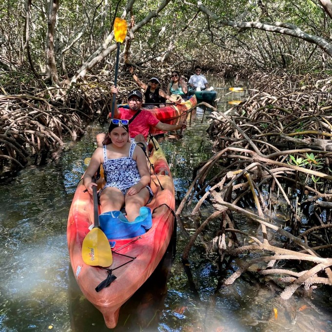 Kayak going through mangroves