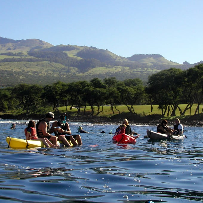 Maui Kayak Tour