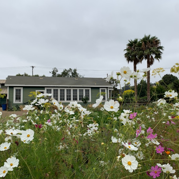 Family farm