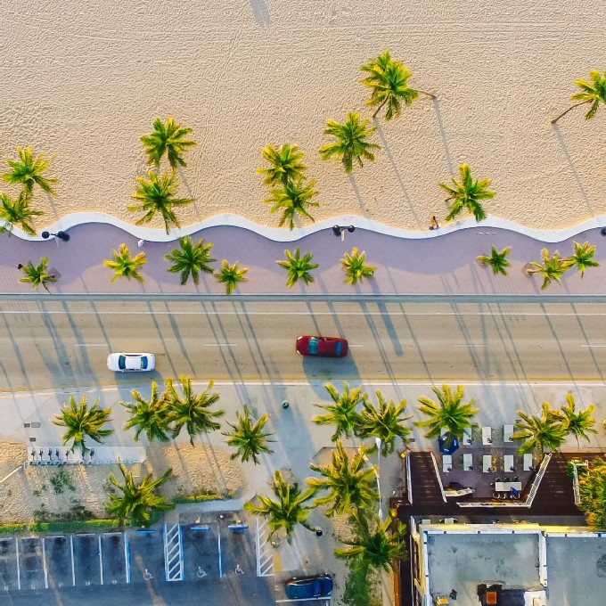 Beach and Palm Trees From Sky View