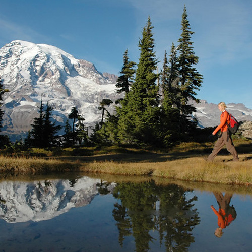 Beautiful View of Mt Rainier in Portland