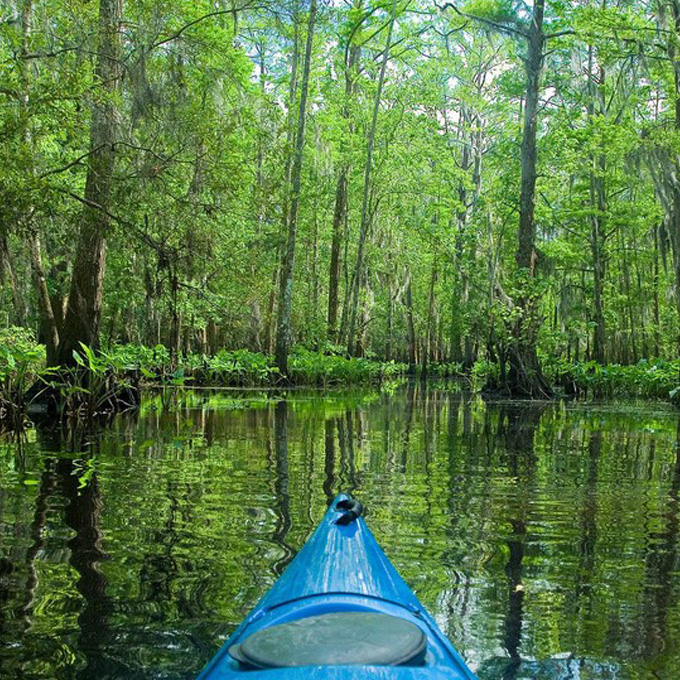 New Orleans Swamp Kayaking