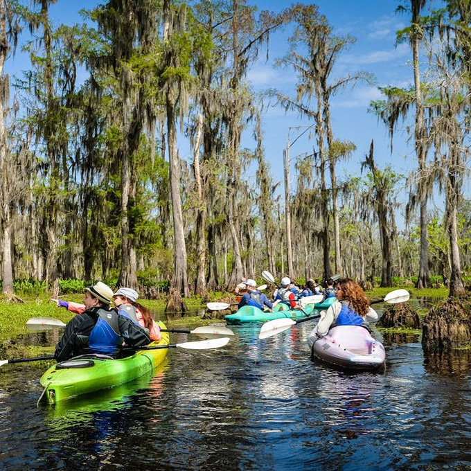 New Orleans Swamp Kayak Tour