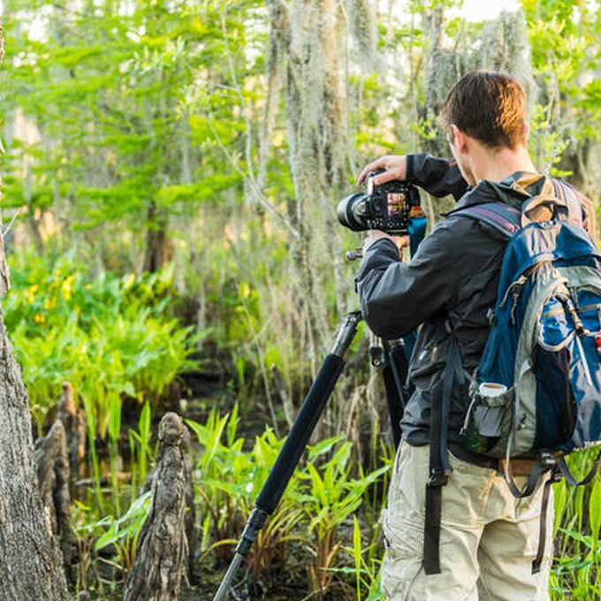 Guided Swamp Photography Tour