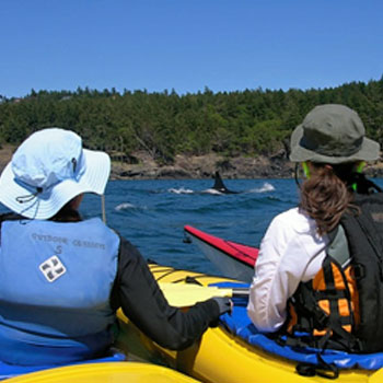 3 Day Wine Tasting Kayak Adventure in Seattle