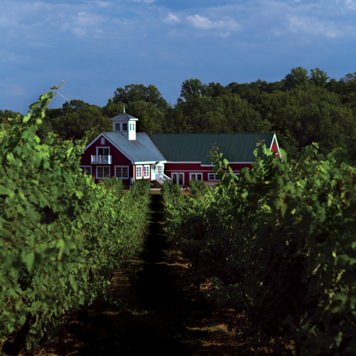 Private Wine Education Course in Washington DC