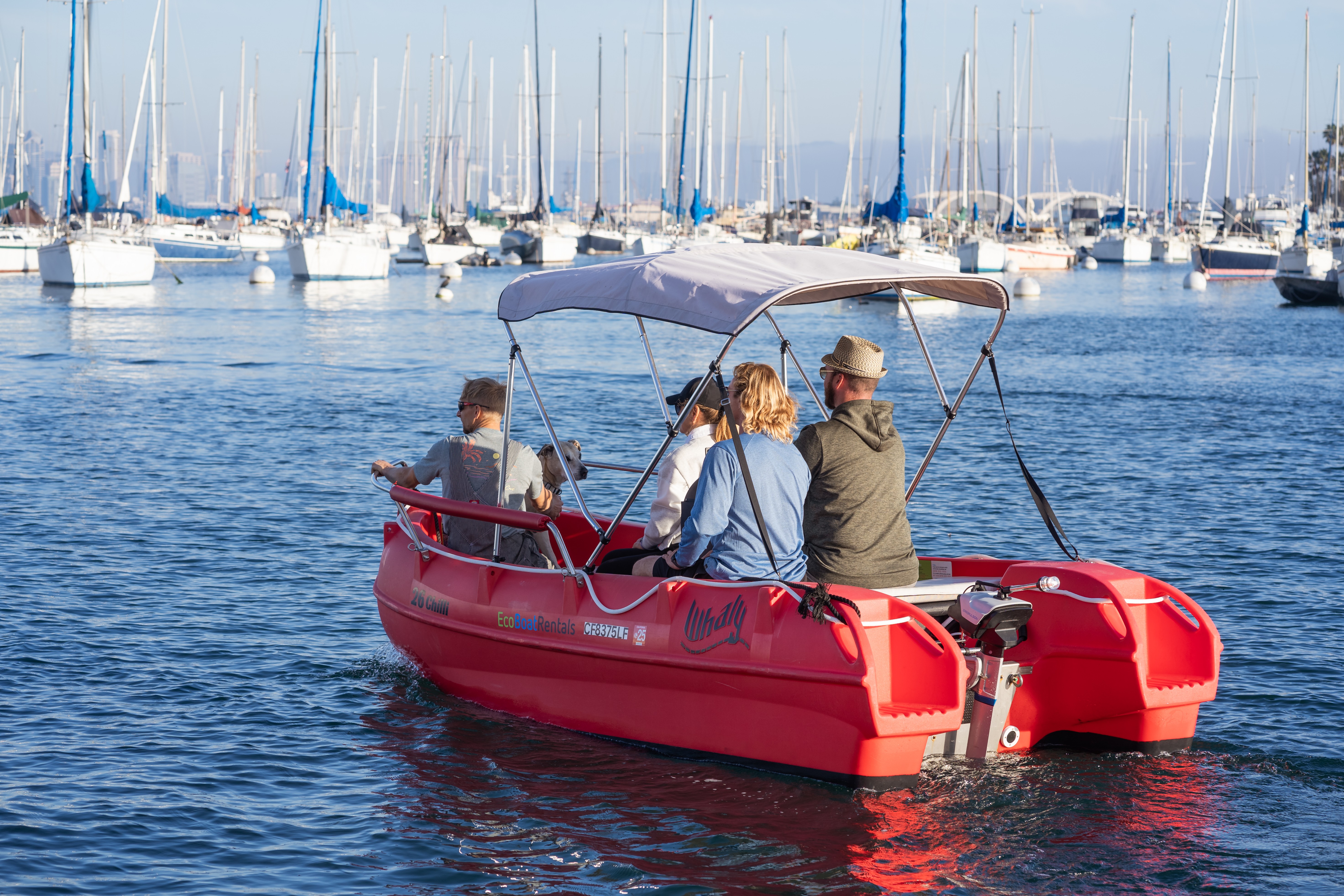 Eco Pedal Boat Adventure