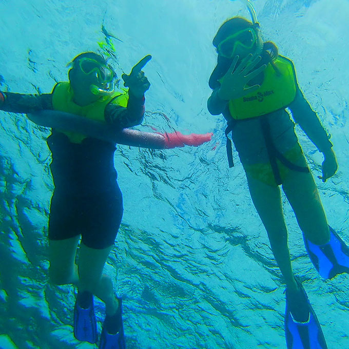 Private Key Largo Snorkel Tour Virgin Experience Gifts