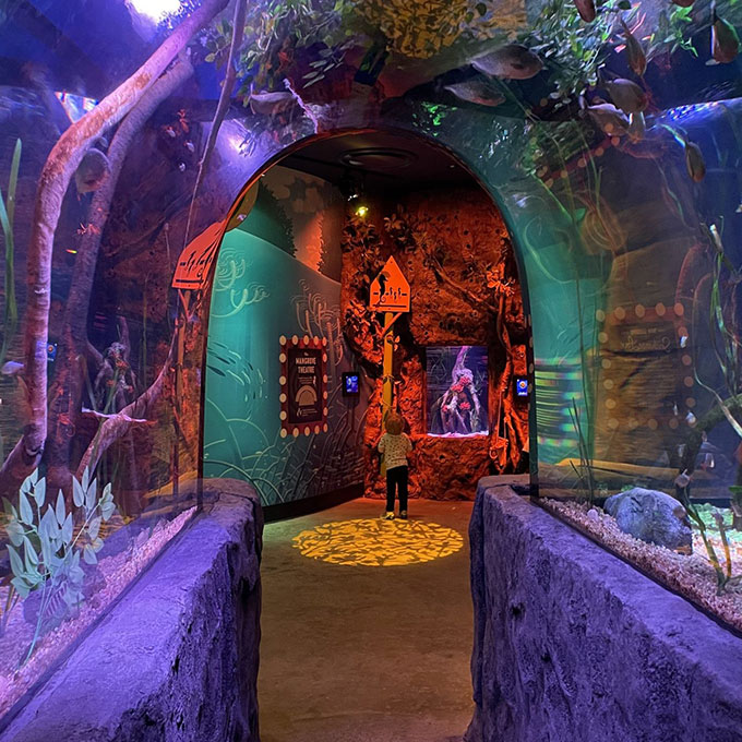 Admission to the SEA LIFE New Jersey Aquarium Virgin Experience Gifts