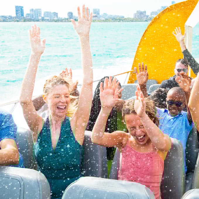 Lakefront Speedboat Tour