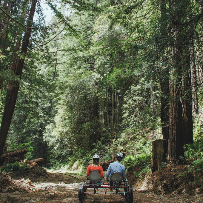 Peddle the Redwood Route
