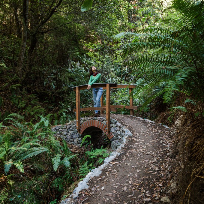 Woman on Bridge Looking at Forest