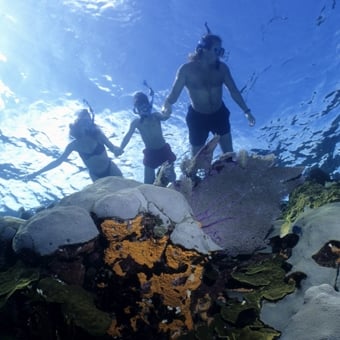 Snorkel and Paddle