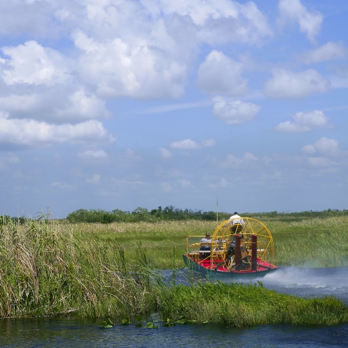 Airboat in Swamp
