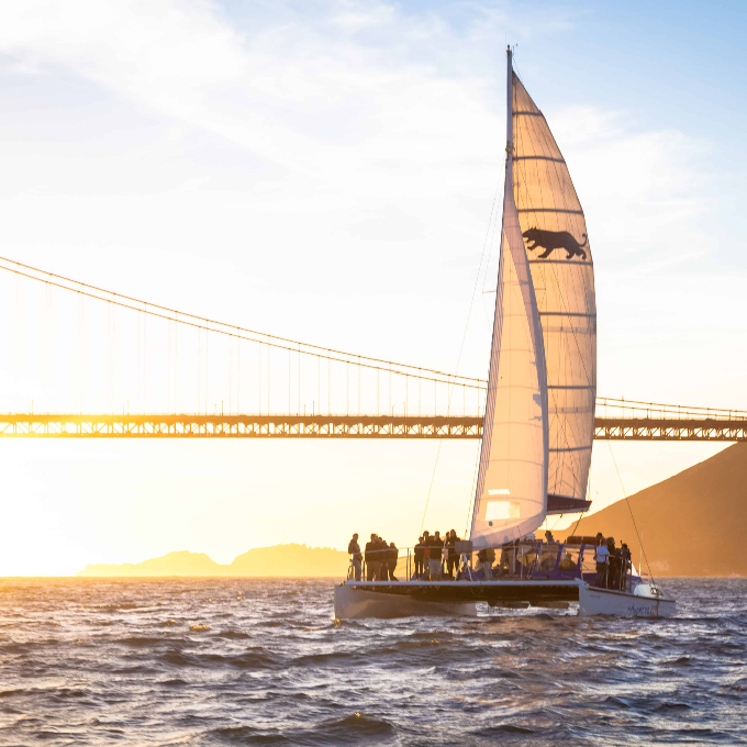 Boat sailing near bridge